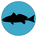 Inshore